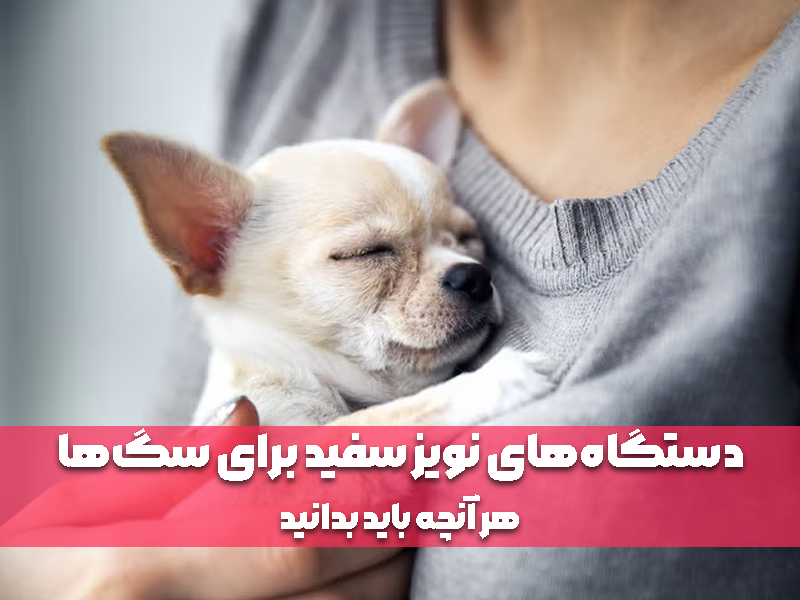 دستگاه‌های نویز سفید برای سگ‌ها